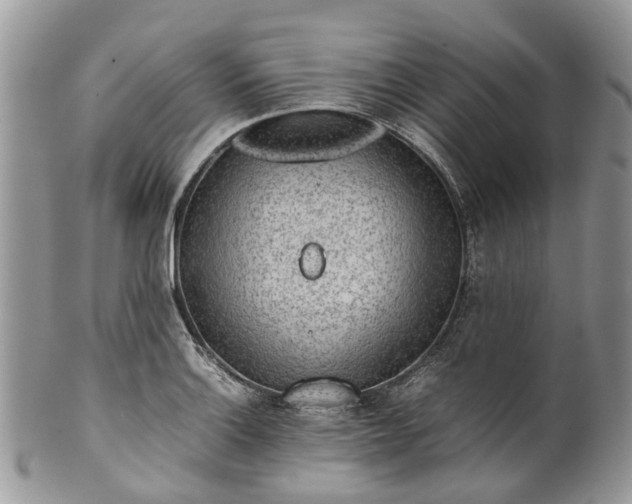 X0000099511132200806051141