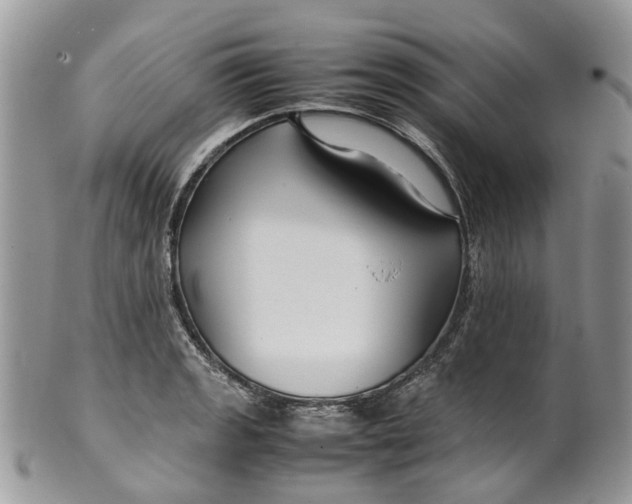 X0000099511133200806051141