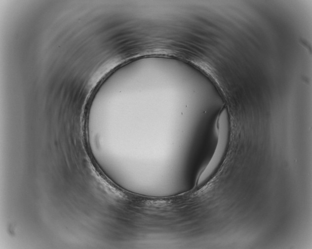 X0000099511135200806051141