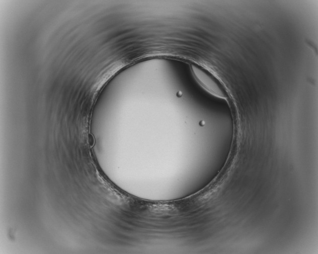 X0000099511137200806051141