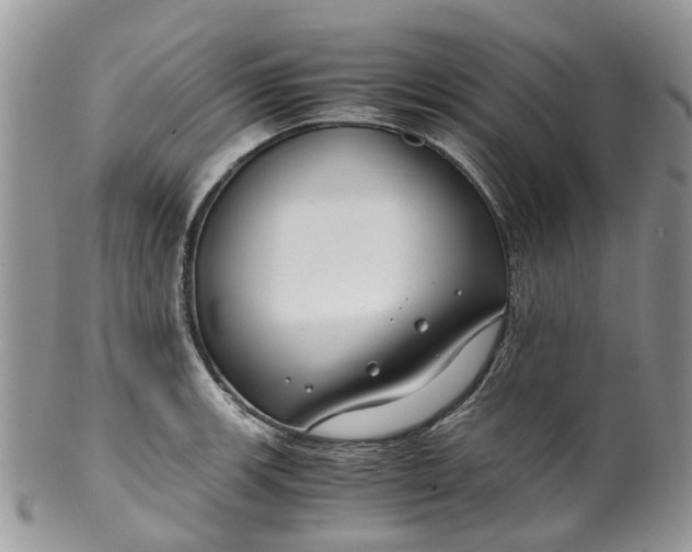 X0000099511139200806051141