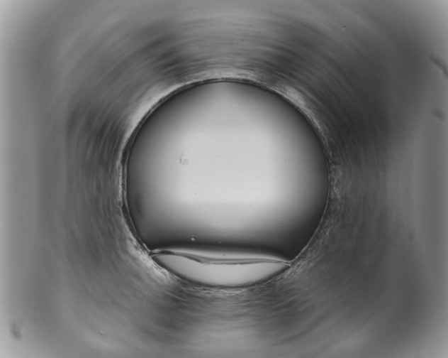 X0000099511140200806051141