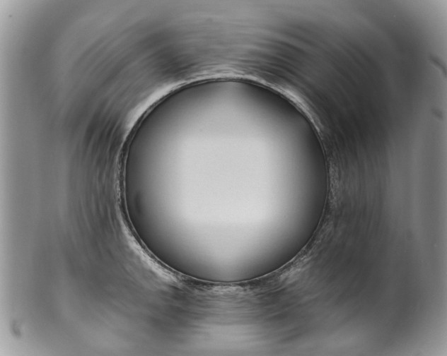 X0000099511142200806051141