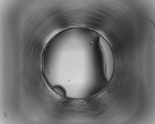 X0000099511143200806051141