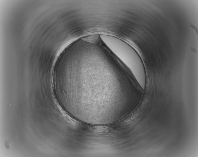 X0000099511144200806051141