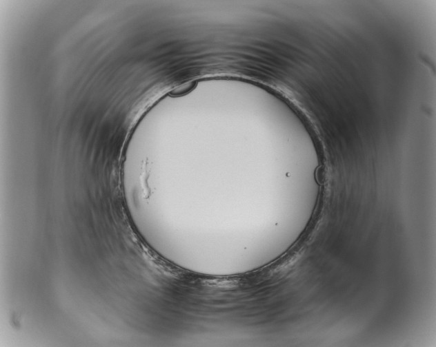 X0000099511145200806051141