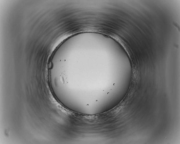 X0000099511147200806051141