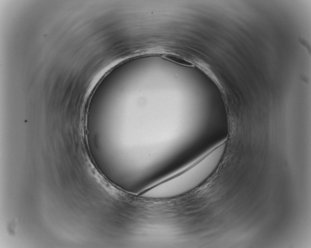 X0000099511148200806051141