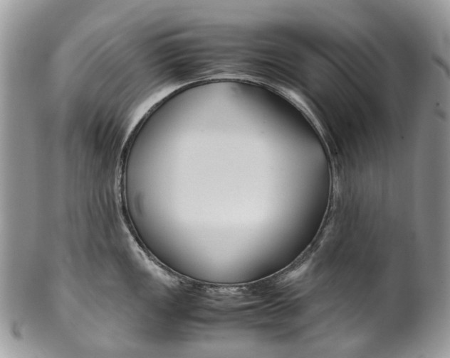 X0000099511149200806051141