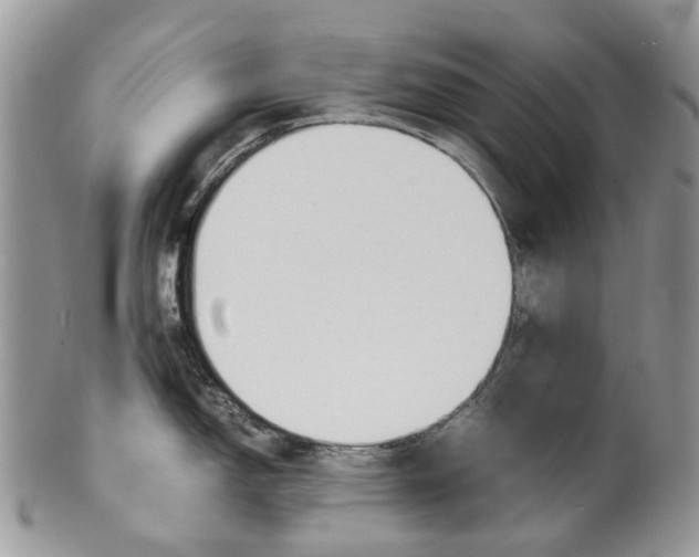 X0000099511150200806051141