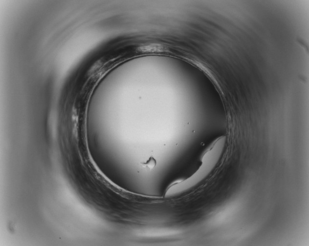 X0000099511151200806051141