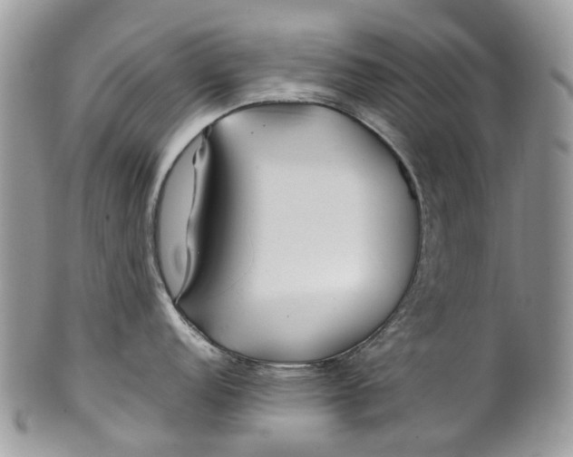 X0000099511152200806051141