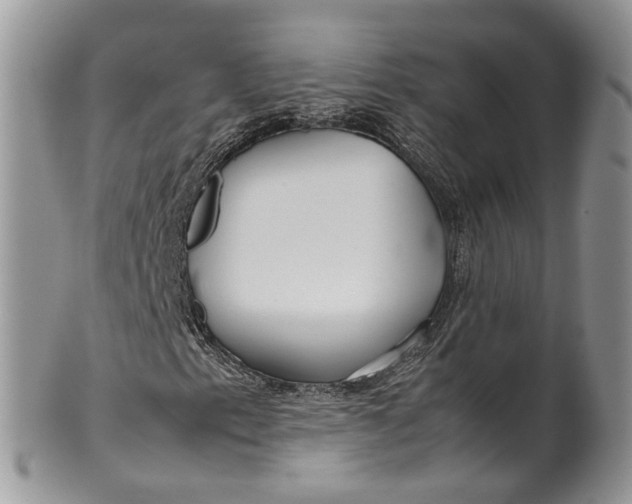 X0000099511153200806051140