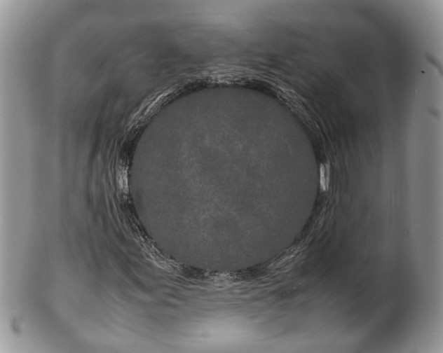 X0000099511155200806051140