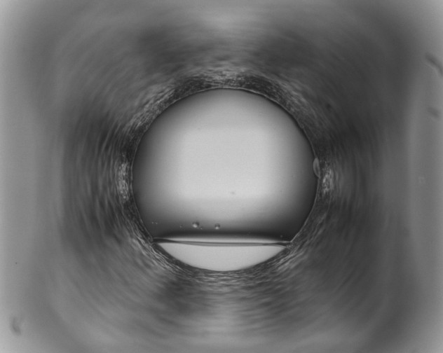 X0000099511156200806051140