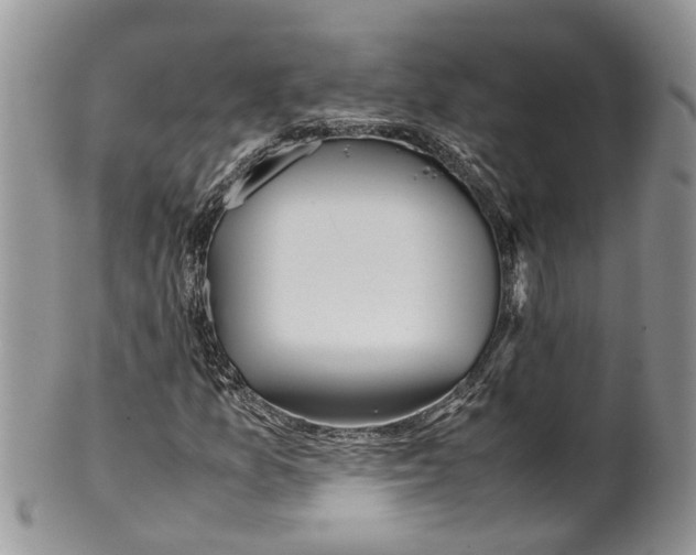 X0000099511157200806051140