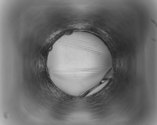 X0000099511158200806051140