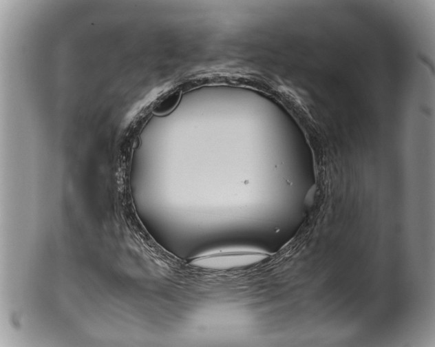 X0000099511159200806051140