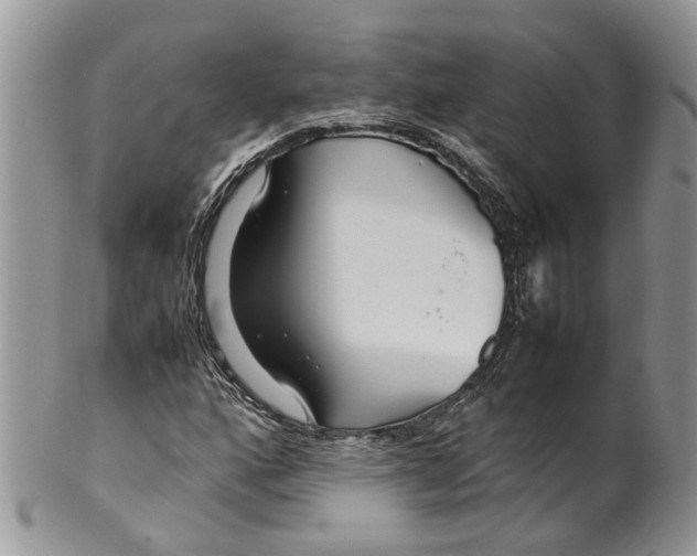 X0000099511160200806051140