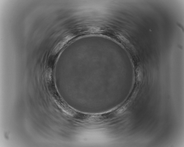 X0000099511161200806051140