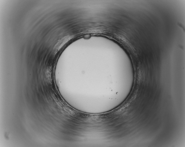 X0000099511162200806051140