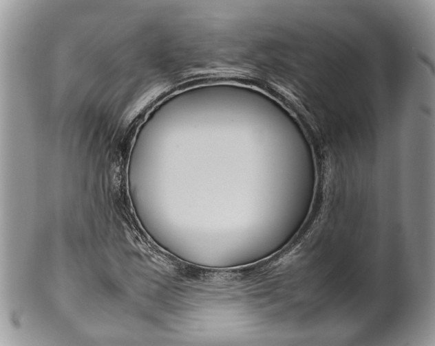 X0000099511163200806051140