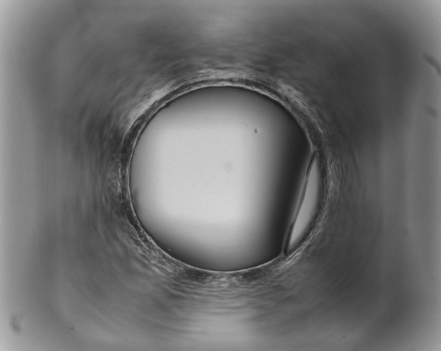 X0000099511165200806051140