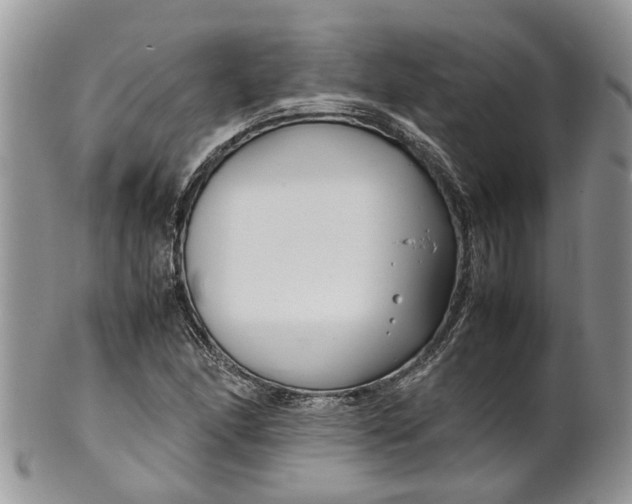 X0000099511166200806051140