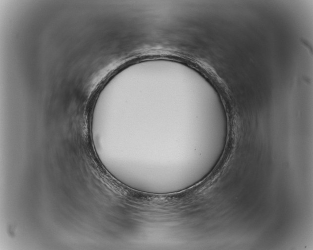 X0000099511167200806051140