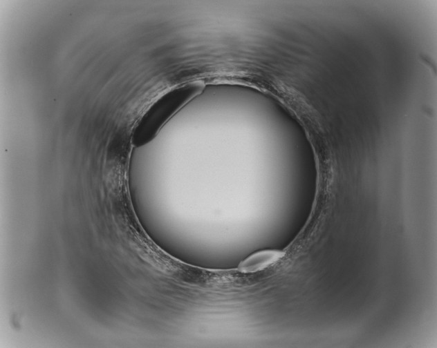 X0000099511169200806051140