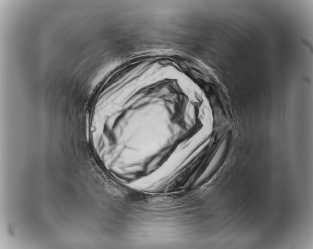 X0000099511171200806051140