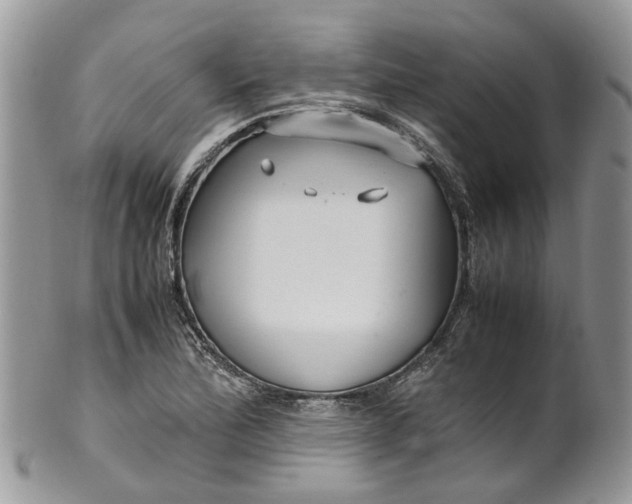 X0000099511172200806051140