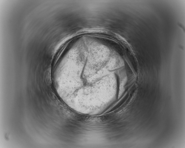 X0000099511174200806051140