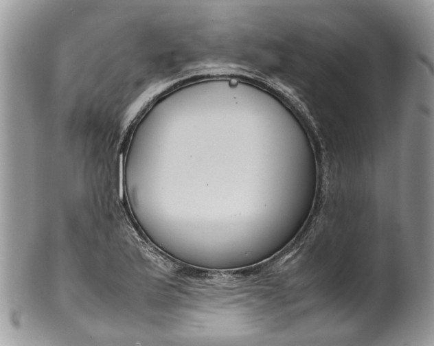 X0000099511175200806051140