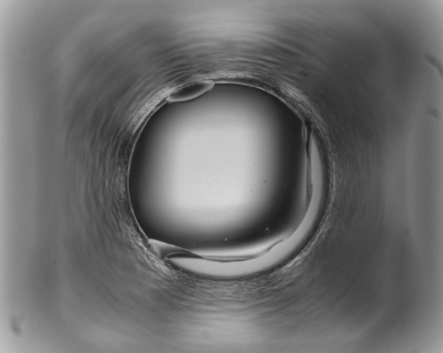 X0000099511177200806051140