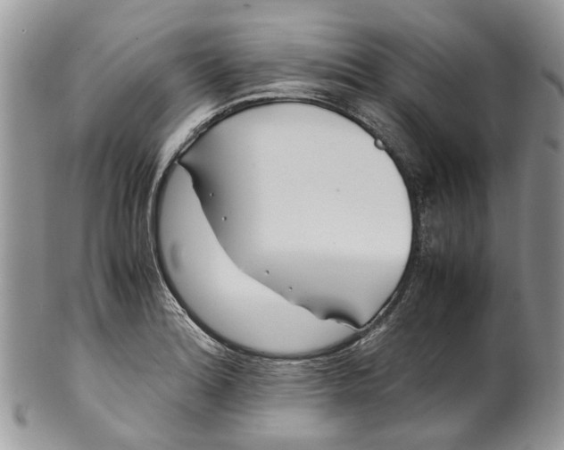 X0000099511180200806051140