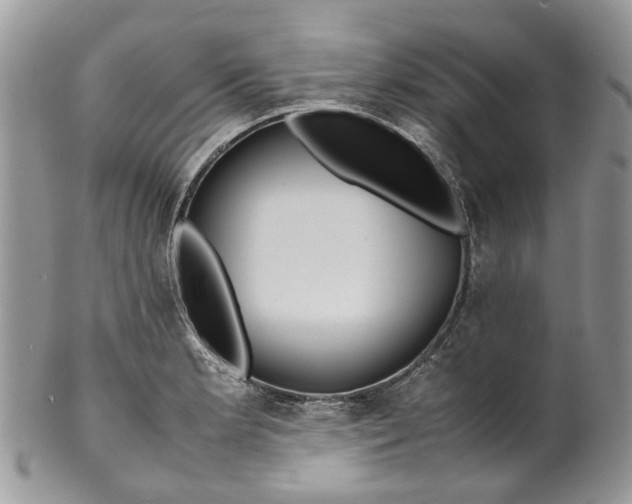 X0000099511181200806051140