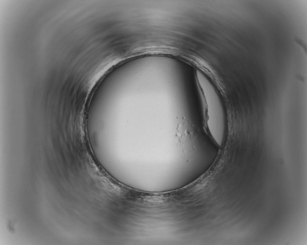 X0000099511182200806051140