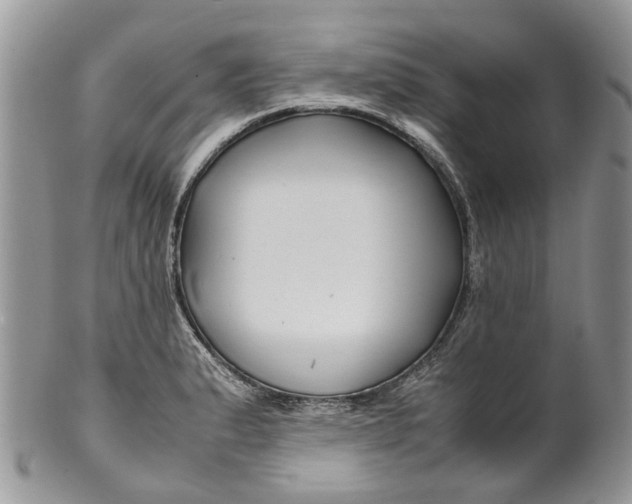 X0000099511183200806051140