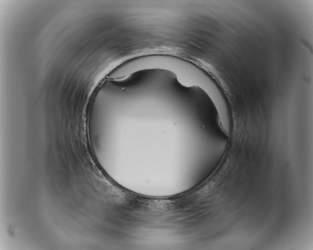 X0000099511184200806051139