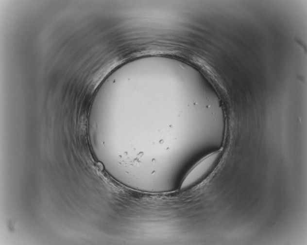 X0000099511185200806051139