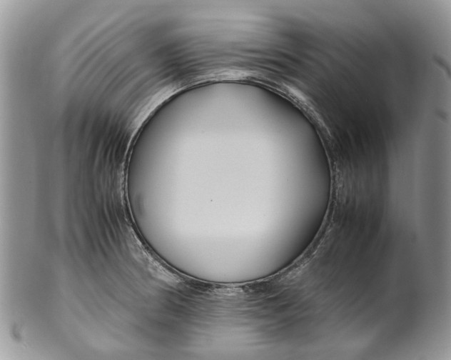 X0000099511186200806051139