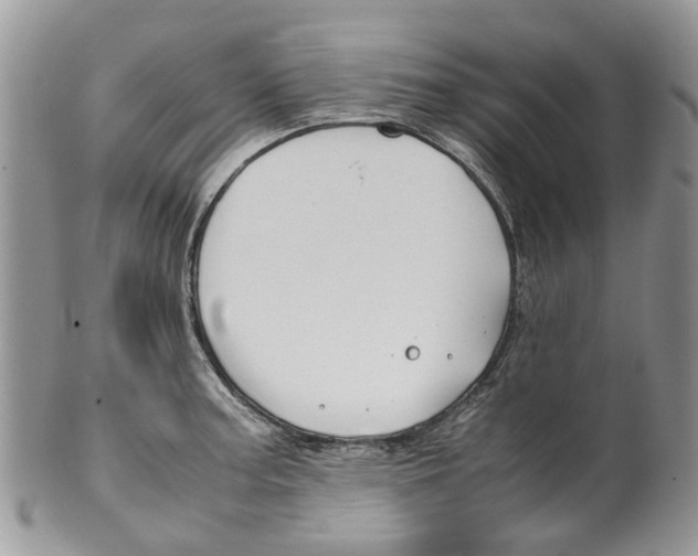 X0000099511187200806051139