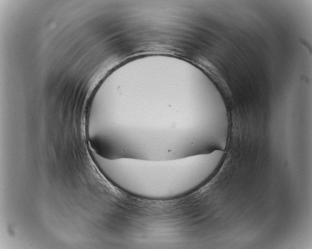 X0000099511188200806051139