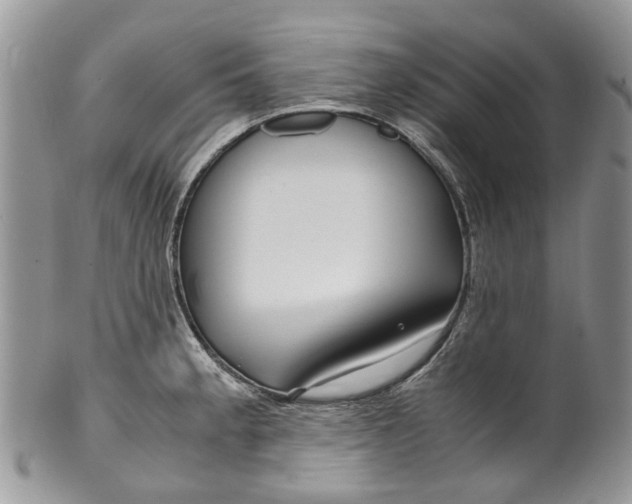 X0000099511189200806051139