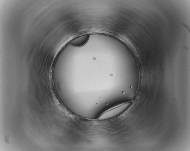 X0000099511190200806051139