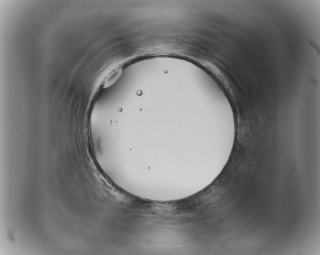 X0000099511191200806051139