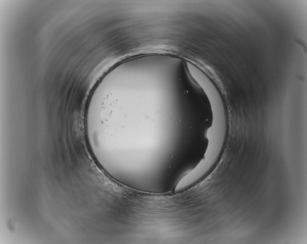 X0000099511192200806051139