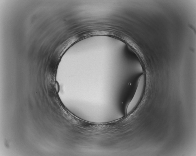 X0000099511193200806051139