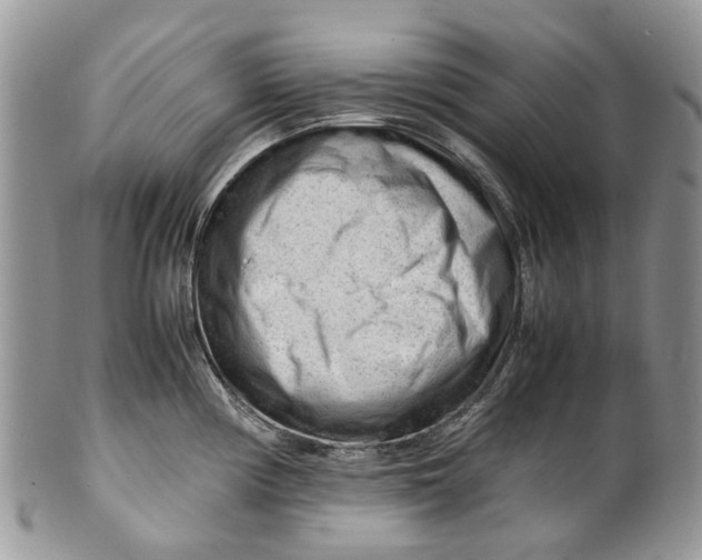 X0000099511194200806051139